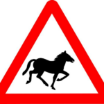 Riziková poradna: Čtvrtek nebo pátek pro vaši návštěvu?