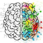 Psychologie FF UK: Co Nabízí Filozofická Fakulta?