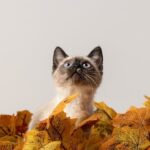 Zachránit rozpadlý vztah: Poslední šance na lásku