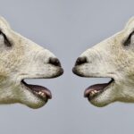 Rozpouštět stigma: Jak mluvit o duševním zdraví