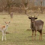 Cuckold vztah: Co to znamená a jak to funguje 22 Cuckold vztah: Co to znamená a jak to funguje