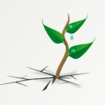 Vztah na dálku: Jak přežít a posílit lásku