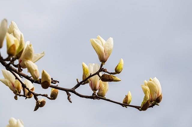 Archiv článků: Poklady minulosti 6 Ochrana a uchování historických pokladů online